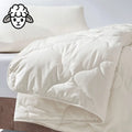 Texels Comfort Satin - Wol - 4 Seizoenen - Dekbed